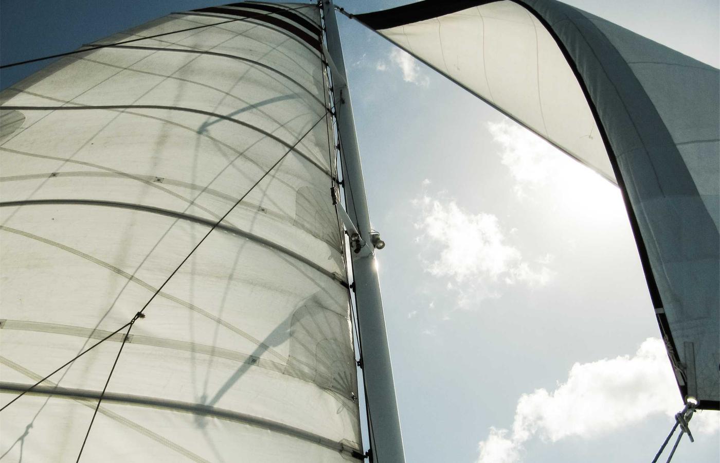 Portret van Jan de Vries