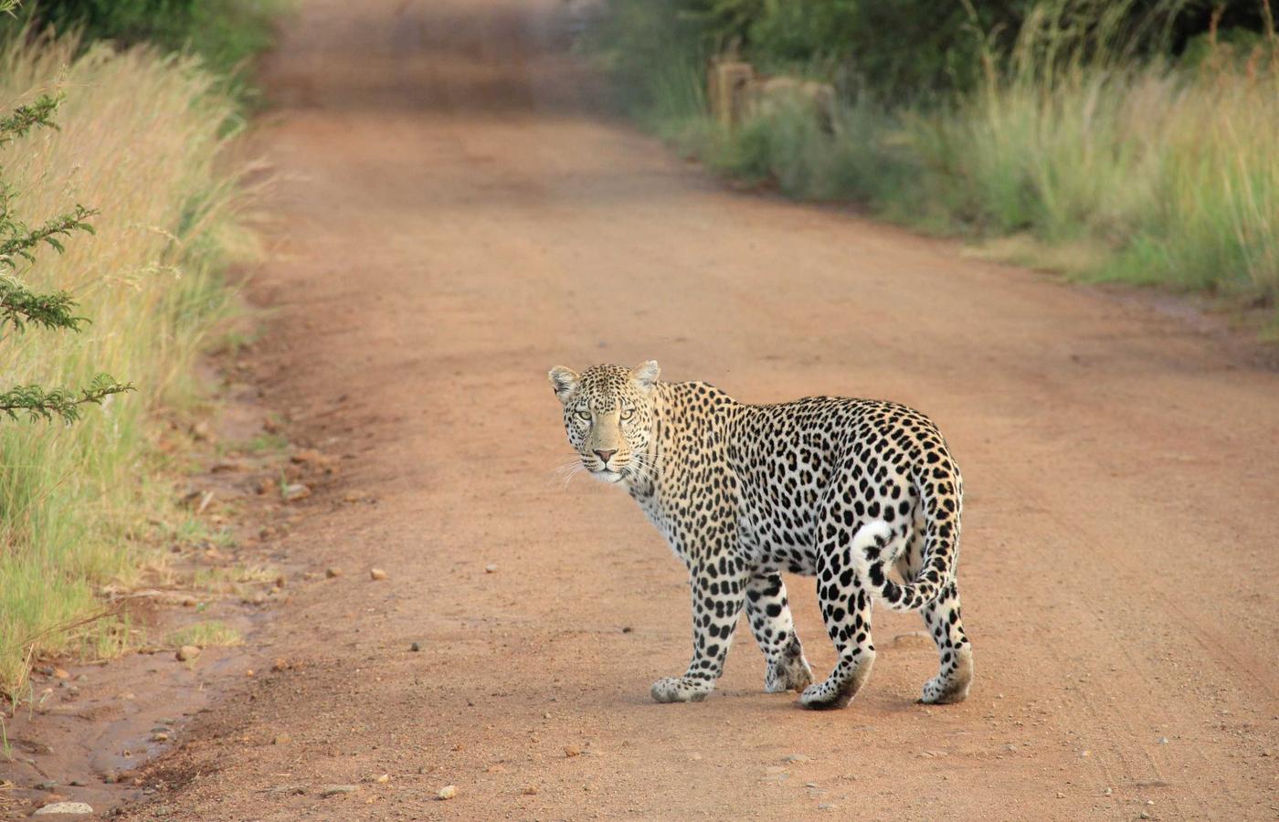 Team van tech professionals die samenwerken in een modern kantoor