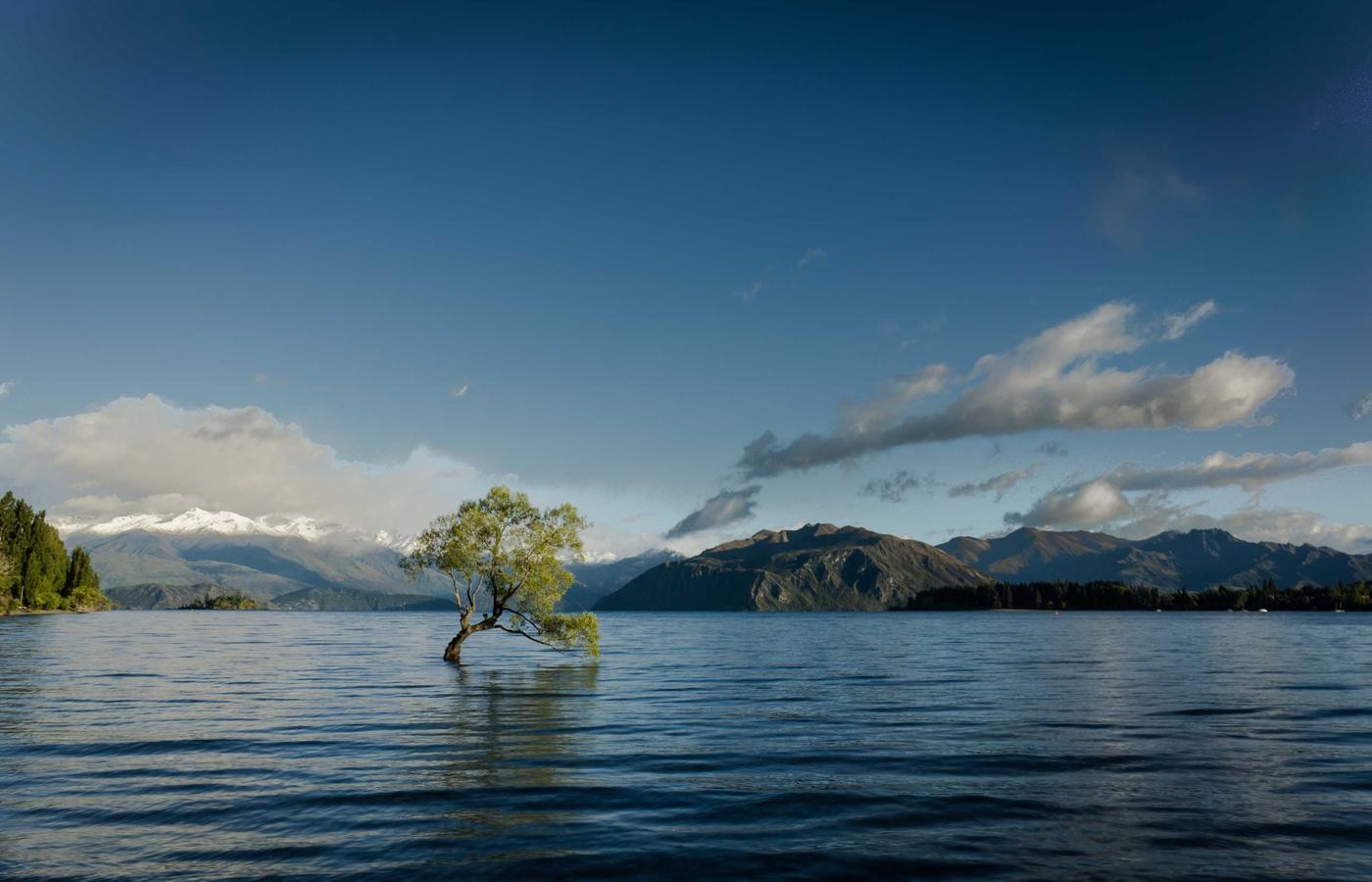Groep mensen die een presentatie bijwonen